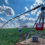 Empresa usa Inteligência Artificial para criar plataforma que facilita a irrigação; entenda