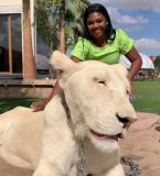 Davi e Raquel Brito conhecem animais exóticos