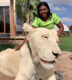 Davi e Raquel Brito conhecem animais exóticos
