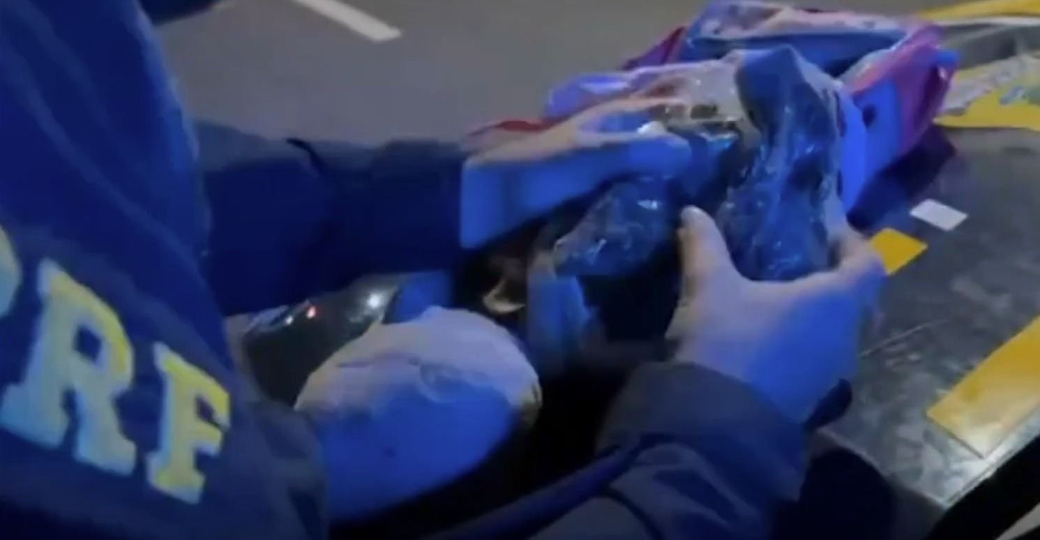 Motorista de aplicativo é pego pela PRF transportando maconha em animal de pelúcia