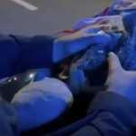 Motorista de aplicativo é pego pela PRF transportando maconha em animal de pelúcia