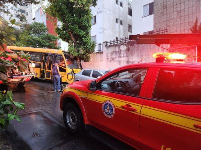ônibus escolar bate arvore