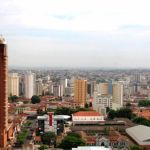 IPTU Verde: Uberaba dá desconto para moradores que plantam árvore na calçada