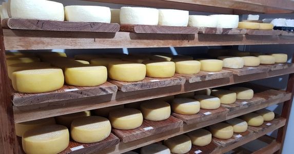 Queijos de pequenos produtores de Minas Gerais