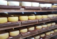 Agro garante fartura e variedade alimentar no Brasil