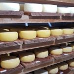 Agro garante fartura e variedade alimentar no Brasil
