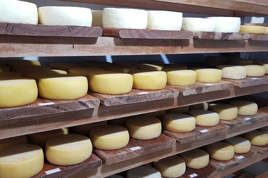 Agro garante fartura e variedade alimentar no Brasil