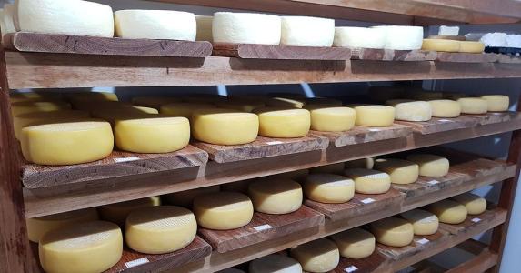 Queijos de pequenos produtores de Minas Gerais