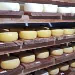 Agro garante fartura e variedade alimentar no Brasil