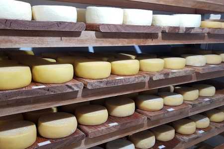 Agro garante fartura e variedade alimentar no Brasil