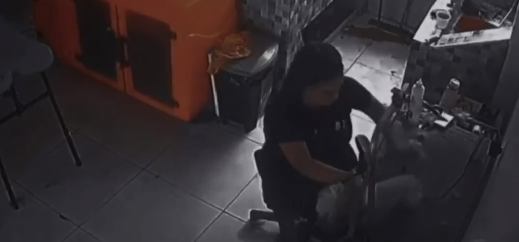 Vídeo: cachorro morre estrangulado durante tosa no Distrito Federal