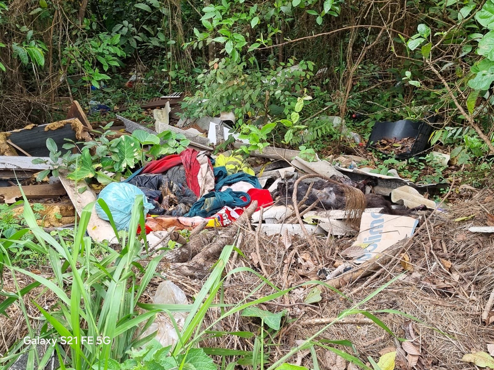 Corpo decapitado é encontrado enrolado em panos em MG; cabeça não foi encontrada