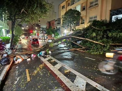 Chuva forte em São Paulo causa uma morte na capital; três morreram no interior | CNN Brasil