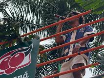 Bloco Lagum Carnaval BH 2025