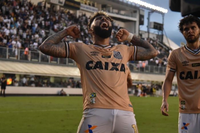 Gabigol foi artilheiro do Brasileirão de 2018 pelo Santos