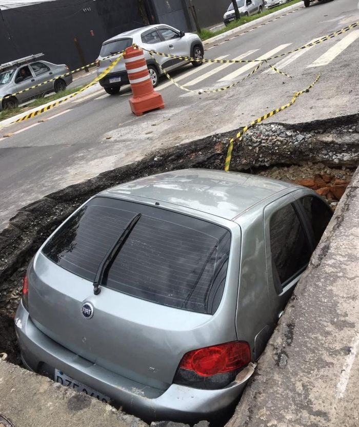Cangaíba sp