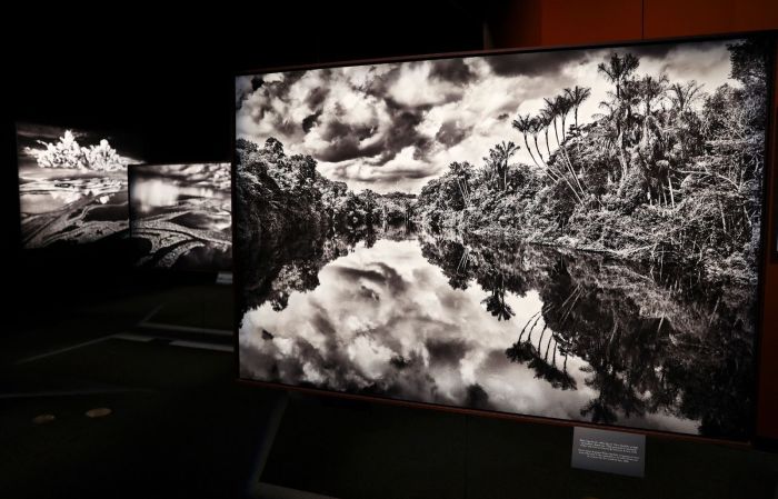 Fotografias são exibidas na pré-estreia para a imprensa da exposição Amazônia, do fotógrafo documentarista brasileiro Sebastião Salgado, no California Science Center, em 19 de outubro de 2022, em Los Angeles, Califórnia Fotografias são exibidas na pré-estreia para a imprensa da exposição Amazônia, do fotógrafo documentarista brasileiro Sebastião Salgado, no California Science Center, em 19 de outubro de 2022, em Los Angeles, Califórnia.