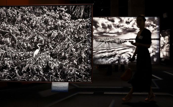 Imagens da Amazônia registradas por Sebastião Salgado Imagens da Amazônia registradas por Sebastião Salgado