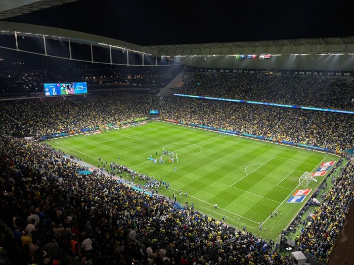 Torcida da Seleção Brasileira