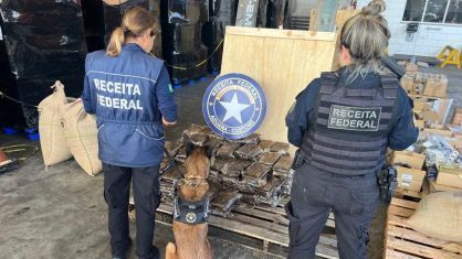 Cães farejadores ajudaram na busca