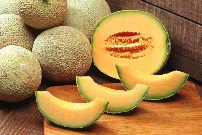 Melão Cantalupo