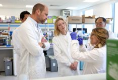 Príncipe William e Cate Blanchett visitam laboratório