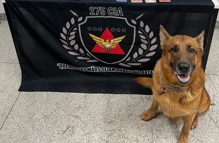 Cão de Faro PM Fabriciano