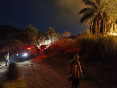 Incêndio atinge Parque Estadual Serra Verde
