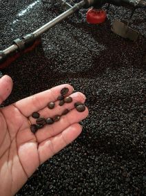 Veja fotos da operação no RJ de café impróprio