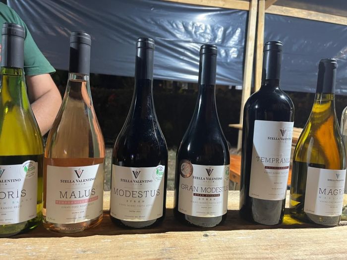Vinhos Stella Valentino 