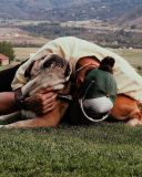 Lewis Hamilton utiliza redes sociais para homenagear Roscoe