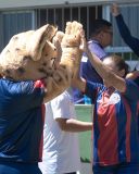 Gata do mato, nova mascote do Itabirito