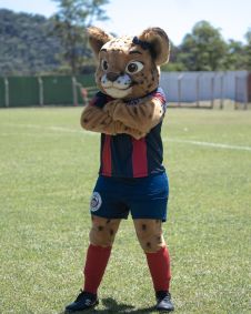 Gata do mato, nova mascote do Itabirito