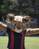 Gata do mato, nova mascote do Itabirito