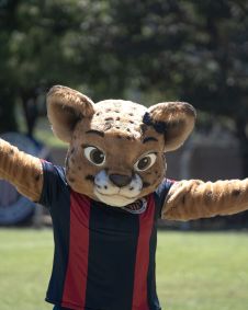 Gata do mato, nova mascote do Itabirito