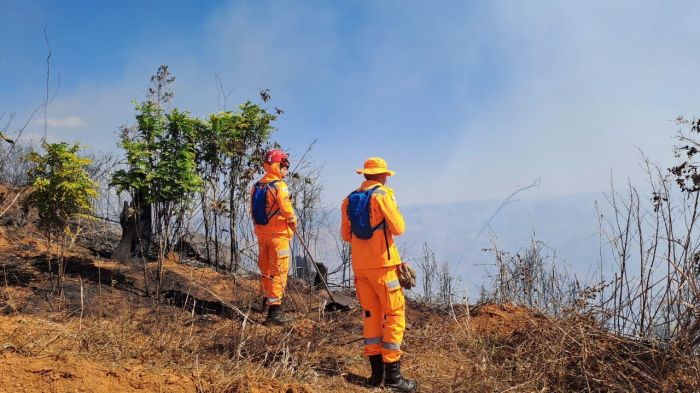 Bombeiros Mata Parque Rio Doce