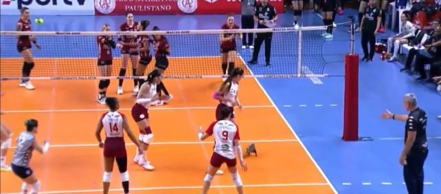 Gambá invade quadra durante partida de vôlei e assusta jogadoras