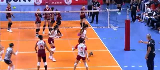 Gambá invade quadra durante partida de vôlei e assusta jogadoras