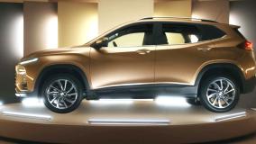 Chevrolet Tracker ganha versão exclusiva para incentivar adoção de cães