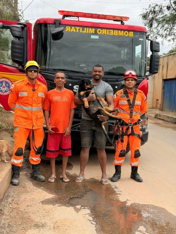 cadela é resgatada 