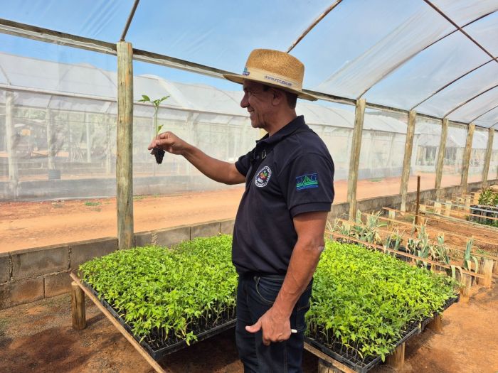 Técnica avança como uma das soluções mais promissoras para o aumento da produtividade