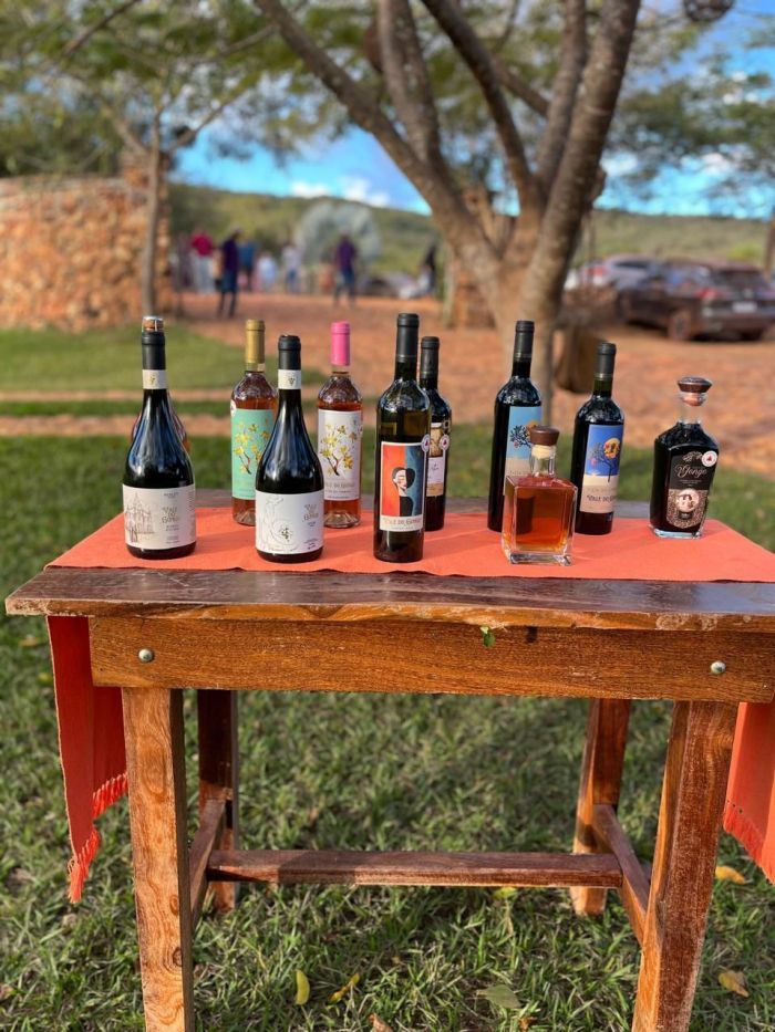 Vinhos da Vinícola Vale do Gongo