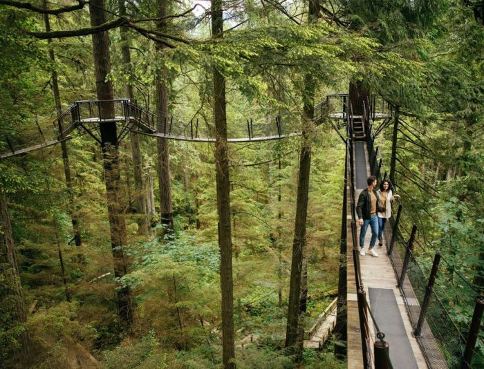 CAP Bridge, em Vancouver, no Canadá
