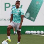 Abel toma decisão sobre Jhon Arias em jogo entre Palmeiras e Fluminense