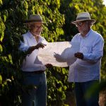 Chapada de Minas conquista Indicação Geográfica para o café do Vale do Jequitinhonha