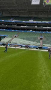 Gramado do Allianz Parque