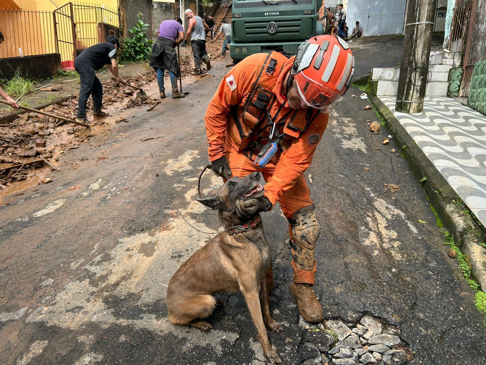 ‘Companheira de vida e trabalho’: cadela auxilia nos resgates na Zona da Mata
