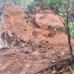 Produtores da Zona da Mata têm crédito liberado e dívidas prorrogadas após chuvas