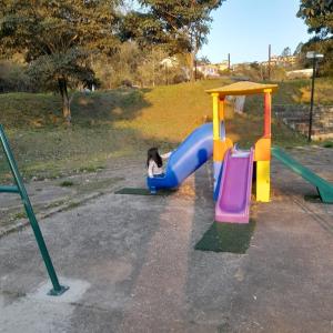 Brinquedo furtado em praça de Ouro Preto