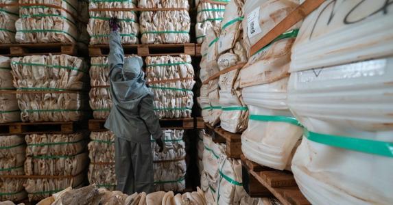 No ano passado, foram descartadas corretamente 4.246 toneladas de embalagens de defensivos em Minas Gerais